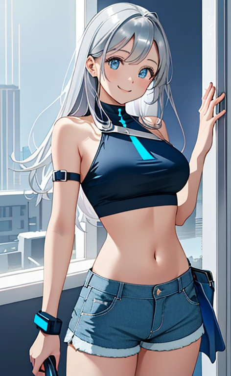 ((masterpiece、top-quality:1.5、a high chroma:1.5、ultra-detailliert、high-resolution illustrations:1.5、Ultra-high-definition CG、8k size wallpaper、offcial art))、(upper body)、(1girl),(light smile
:1.5)、(clear face:1.3),(standing),
(silver-only color scheme:1.5,blue-only color scheme:1.5),(sexy body),(One only wears silver, one only wears blue),(neck holder crop top,shorts),(long hair), (large breasts)、
()、