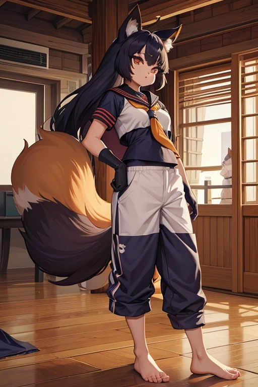 5 females, Fox and Raccoon, furry,　beastman, animal hair, tail, sailor suit, short sleeve, Jersey pants, long pants, gloves, barefoot, man&#39;s daughter