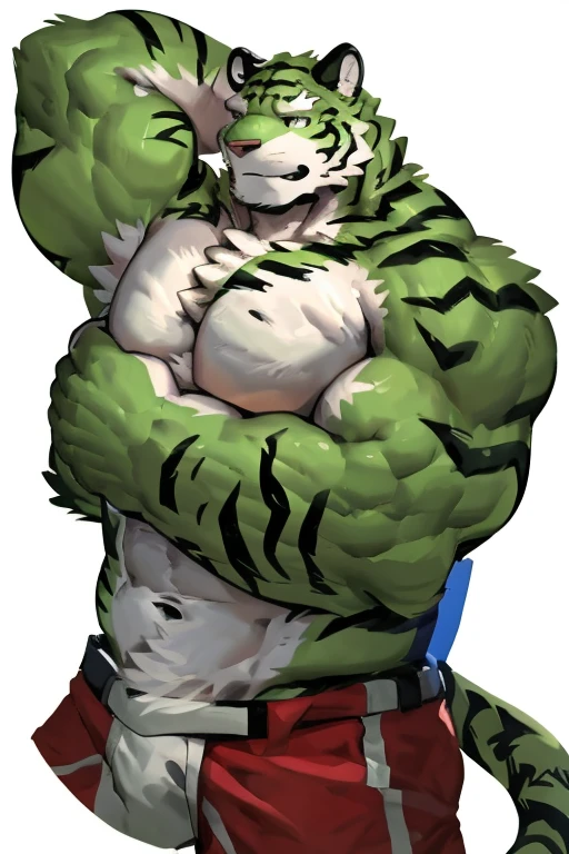 two muscular tiger , furry chest, muscular green tiger hug muscular tiger back, muscular green tiger stand behind, hug from behind, white background, perfect hand, thick furry neck and chest fluff, hand behind head, side view by lindong, by nullghost, front view