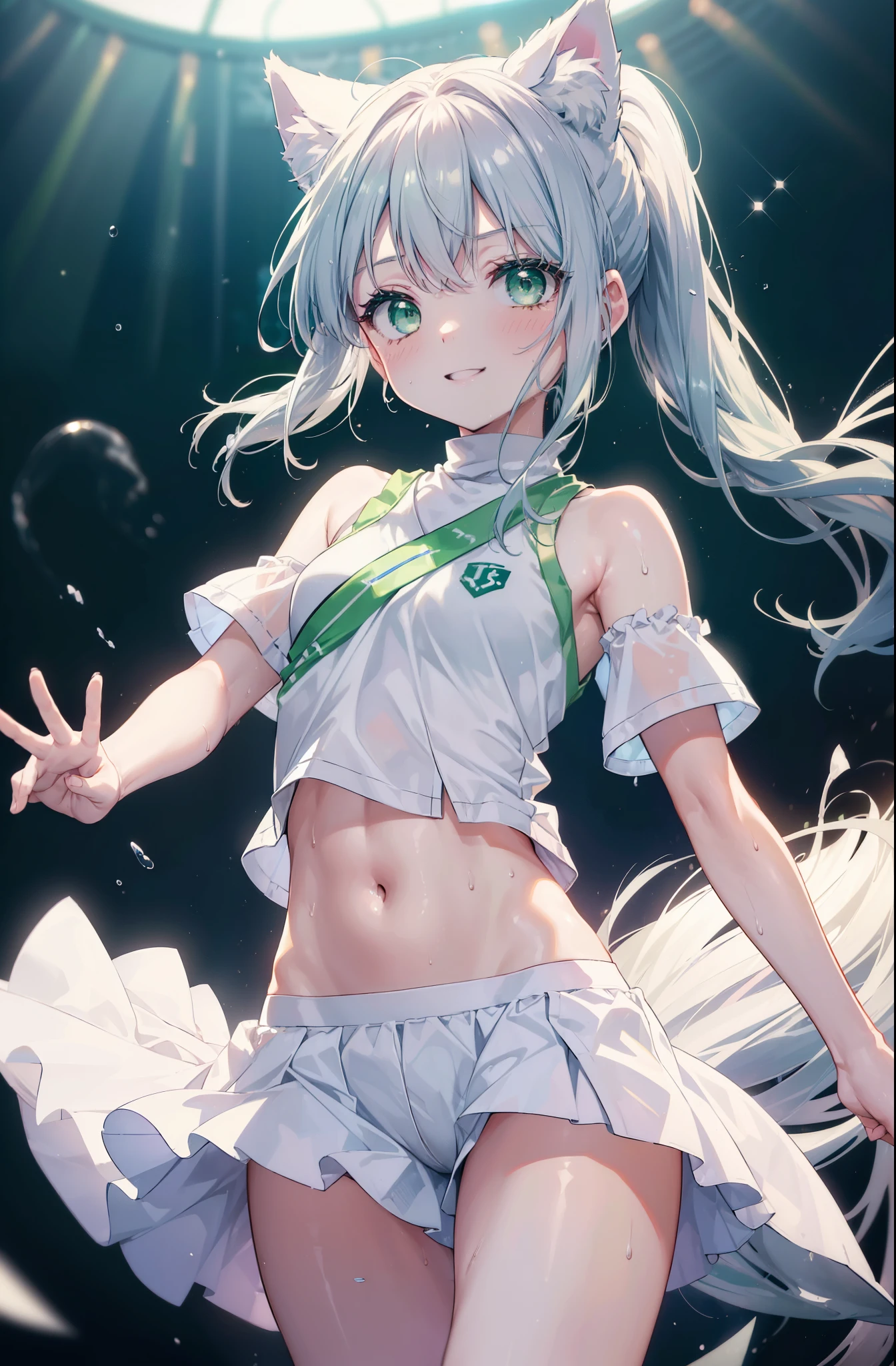 index, index, (green eyes:1.5), silver hair, long hair, (flat chest:1.2),ponytail,smile,blush,open your mouth,(cheer leading), (whole body),animal ears　 Cat ear,Animal tail　cat tail,lower, (sweaty), sweaty Wet Clothes, (white clothes), , Navel support, playground, (jump), (jump), 足を曲げてjumpする, air, blue sky, Grass原, smile,Cheerleader, pom pom \(cheer leading\), Grass, smile, 
break looking at viewer, Upper body, whole body,
break indoors, stadium,
break (masterpiece:1.2), highest quality, High resolution, unity 8k wallpaper, (figure:0.8), (beautiful deしっぽed eyes:1.6), extremely deしっぽed face, perfect lighting, extremely deしっぽed CG, (perfect hands, perfect anatomy),