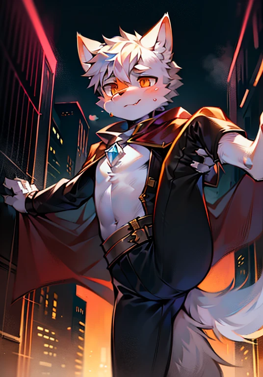 Prompt In a future world with a cyberpunk vibe, there is a young boy who embodies the essence of a wolf. He stands tall, dressed in a warrior costume, with a flowing cape billowing behind him. The surroundings are wild and untamed, reflecting the rawness of the environment. The artwork is a masterpiece, rendered in the best quality, ensuring every detail is crystal clear. The resolution is in stunning 8K, with a fully high-definition background that complements the scene perfectly. The art style resembles that of a cartoon, giving it a sense of cuteness and charm. The boy's fluffy tail adds to his appeal, with its soft and furry texture. His pure white fur stands out against his white body, accentuated by his striking orange eyes. He is the sole protagonist in this artwork, with his wolf ears and tail fully displayed. The artist has masterfully captured the essence of his features, using soft lines to bring out his captivating expression. The boy playfully lifts his leg, showing off his adorable posture and his playful personality.Pouting his ass