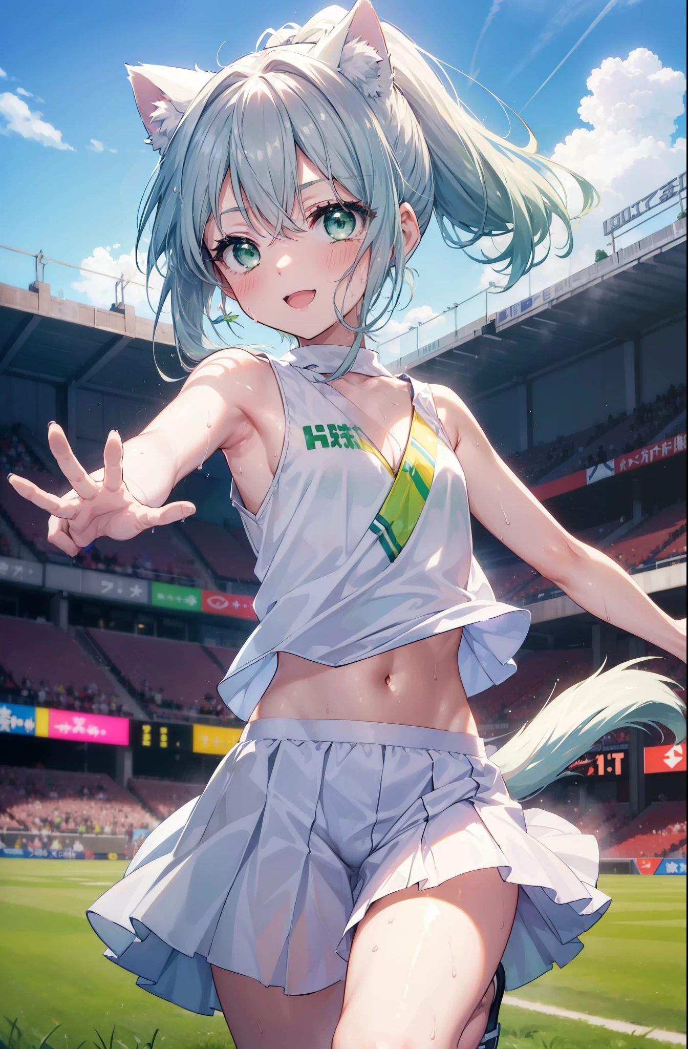 index, index, (green eyes:1.5), silver hair, long hair, (flat chest:1.2),ponytail,smile,blush,open your mouth,(cheer leading), (whole body),animal ears　 Cat ear,Animal tail　cat tail,lower, (sweaty), sweaty Wet Clothes, (white clothes), , Navel support, playground, (jump), (jump), 足を曲げてjumpする, air, blue sky, Grass原, smile,Cheerleader, pom pom \(cheer leading\), Grass, smile, 
break looking at viewer, Upper body, whole body,
break indoors, stadium,
break (masterpiece:1.2), highest quality, High resolution, unity 8k wallpaper, (figure:0.8), (beautiful deしっぽed eyes:1.6), extremely deしっぽed face, perfect lighting, extremely deしっぽed CG, (perfect hands, perfect anatomy),