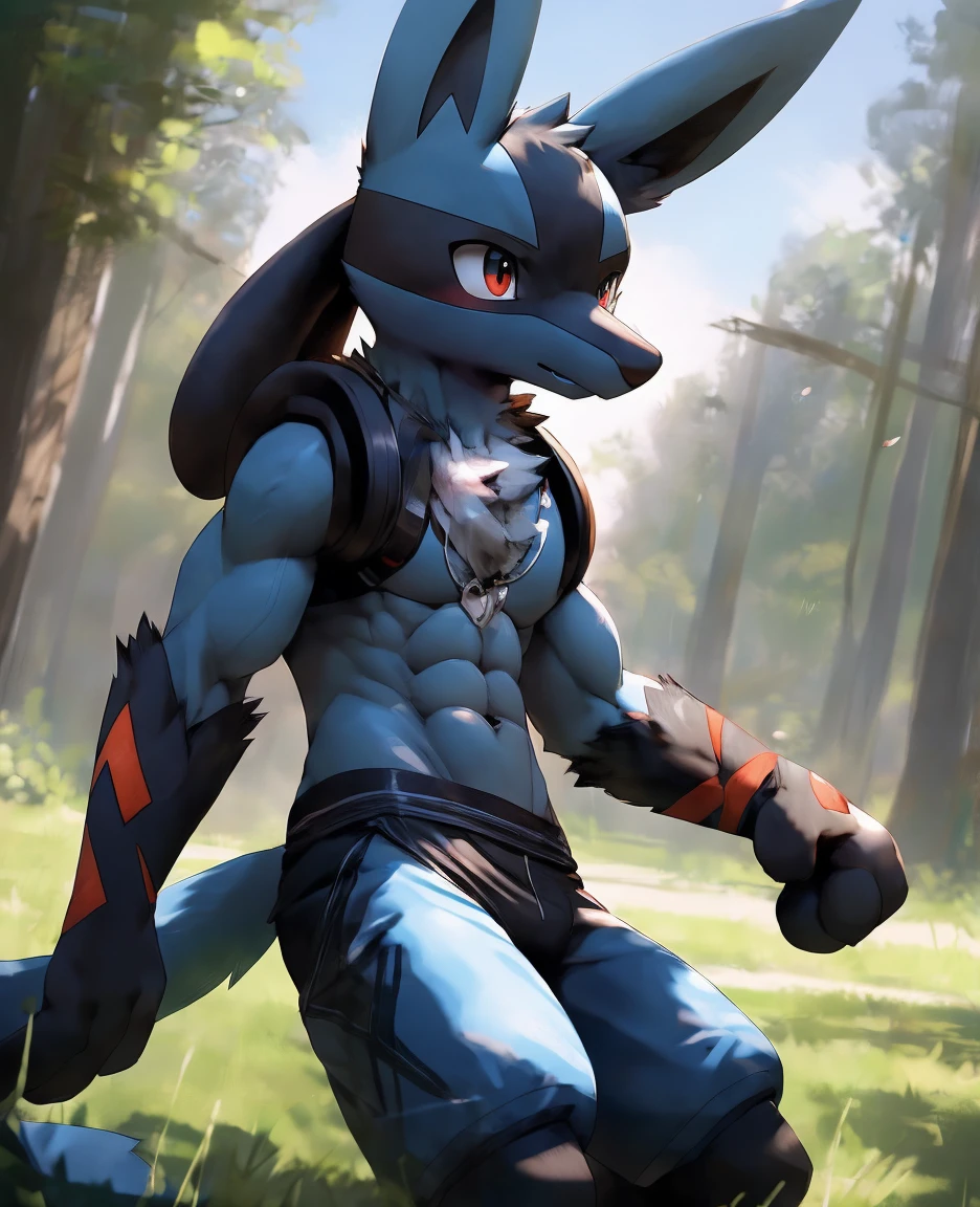 4k, super detail, masterpiece,super detail, high quality, high resolution, high detail,Lucario,abs,pokemon,training