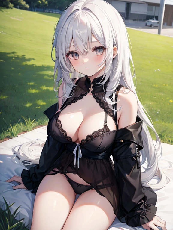 bright daylight,A girl in black underwear,White fluffy and soft hair,Delicate white-haired girl,Sit on the lawn next to the highway,Gold eyes,Black erotic underwear,big breasts