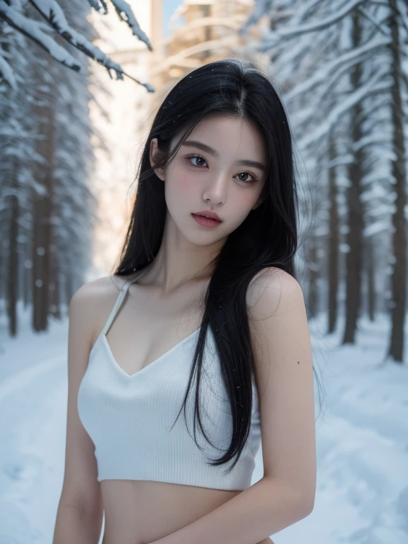 ( masterpiece, top quality, best quality,8k, girl,ultra detailed,raw photo:1.5),(photorealistic:1.4), (straight black hair:1.5), (cinematic lighting), PerfectNwsjMajic, , Surrealism, UHD, ccurate, Super detail, textured skin, High detail, Best quality, dynamic angle, White skin,[Beautiful blue eyes], high nose,[flat chest:large breasts:0.5],(1girl),(good anatomy:0.5)),snow