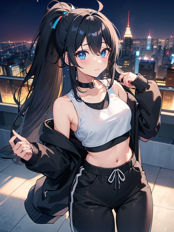 a beautiful cute anime girl,blue eyes,long black hair, ponytail,(high-details),crop top hoodie, black training pants,city(hd-view), headphones,(high-quality),