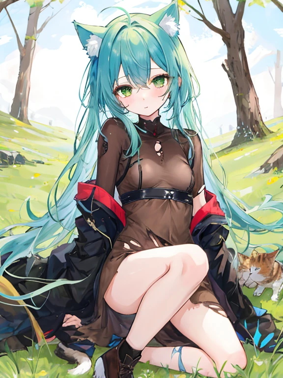 1 girl,young,,blue long hair,ツギハギがあるボロボロのCat ear帽子,Brown clothes that are tattered and patched up,Battered girl,mole,Lightless green eyes,Cat ear,,small breasts,grassland,Torn clothes