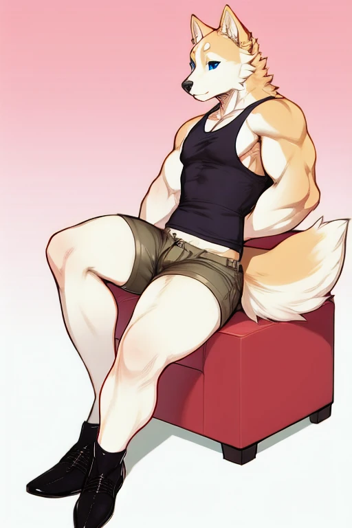 Furry, anthropomorphic Akita inu, cream colored fur, pale blue eyes, 6'6 and 214 lbs, 44" Chest, 20" shoulders, 15" Biceps, 34" waist, 24" thighs, 16" calves, 19" Back, wearing white button down shirt, wearing khaki shorts, wearing black dress shoes, exposed chest, sitting in private room, Rococo aesthetic, pastel pink and white color scheme, chinoiserie, japonisme