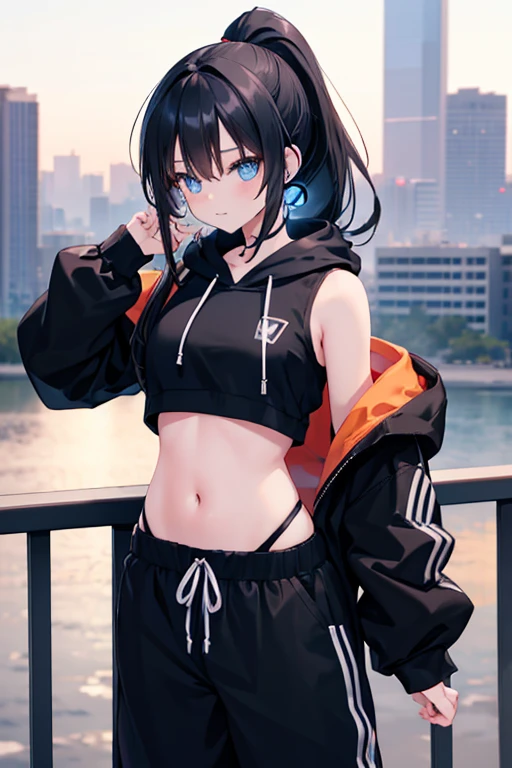 a beautiful cute anime girl,blue eyes,long black hair, ponytail,(high-details),crop top hoodie, black training pants,city(hd-view), headphones,(high-quality),