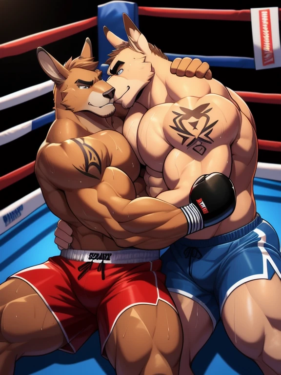Duo male fighters(Brown Kangaroo vs Brown Kangaroo, handsomes, perfect eyes, Thick eyebrows), beso gay(Cuddling lying down embraced each other in a boxing match), hot(Full body, shirtless), handsomes(They are handsomes, correct anatomy), musculosos(Big muscle bodies, Six packs, muscle abs, big pecs, muscle legs, muscle backs), sweaty(very sweaty wet bodies), tatuajes(they have tattoos), Angry(They have an angry expression), Boxing gloves(They both are wearing boxing gloves), boxers(They are wearing shorts boxers), Hight resolution