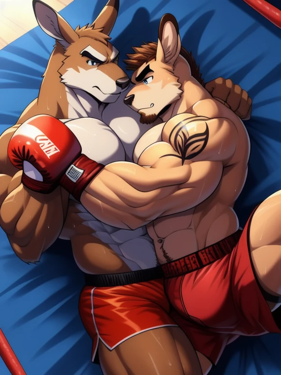 Duo male fighters(Brown Kangaroo vs Brown Kangaroo, handsomes, perfect eyes, Thick eyebrows), beso gay(Cuddling lying down embraced each other in a boxing match), hot(Full body, shirtless), handsomes(They are handsomes, correct anatomy), musculosos(Big muscle bodies, Six packs, muscle abs, big pecs, muscle legs, muscle backs), sweaty(very sweaty wet bodies), tatuajes(they have tattoos), Angry(They have an angry expression), Boxing gloves(They both are wearing boxing gloves), boxers(They are wearing shorts boxers), Hight resolution
