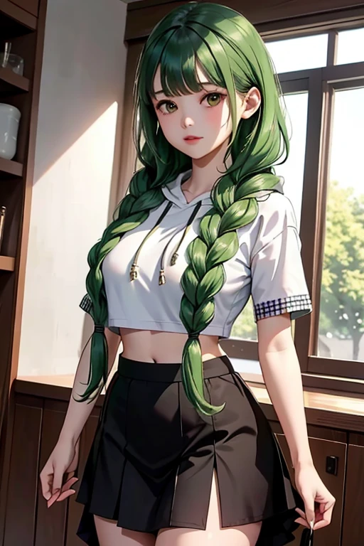 (masterpiece,highest quality),crop top look,Short sleeve hoodie, (Black skirt with gingham check),big breasts, green haired, 2 long thick braids, bangs.