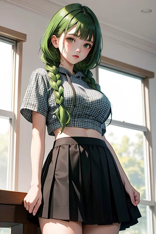 （masterpiece，highest quality），crop top look，Short sleeve hoodie， (Black skirt with gingham check)，big breasts, green haired, 2 long thick braids, bangs.