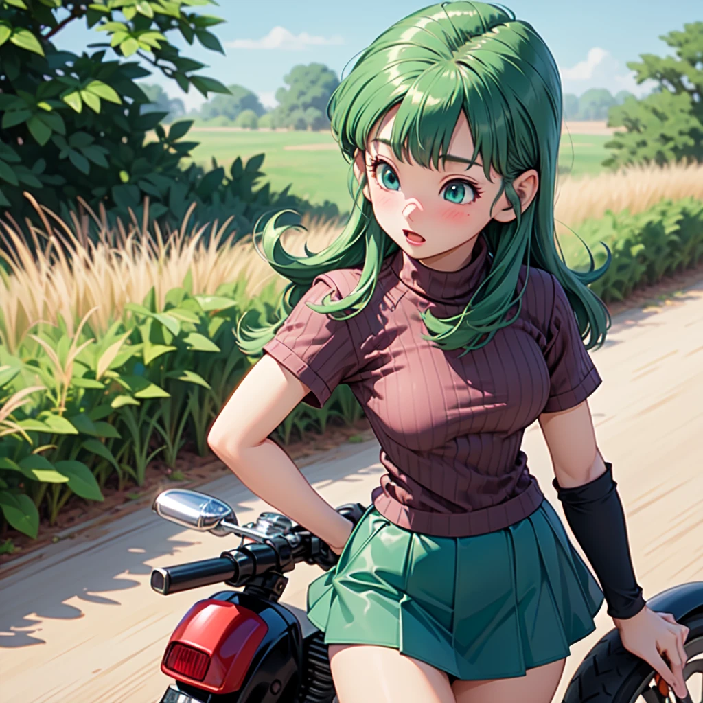 girl、(((one person)))、green eyes、green hair、long hair、mini skirt、D cup bust、background blur、line of sight、blush、motorcycle、wilderness、the way