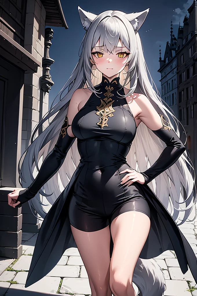 Masterpiece, full body portrait, no cropped, 4k, wallpaper, highlydetailed face, ultra-detailed face, solo (1woman), long hair, gray hair, tall young woman, wolf woman, wolf ears, long wolf tail, beautiful, enchanting, bright yellow eyes, detailed eyes, ultra-detailed eyes, elegant, small vertical scar under right eye, small rosy lips, big breasts, slender elegant arms, pretty hands, detailed hands, charming, slight blush, smug smile, black stylish shorts and top outfit, detached sleeves, light black armor, black armored coat, bare off shoulders, toned abs, exposed belly, standing pose, hands on hip pose, full moon on the background