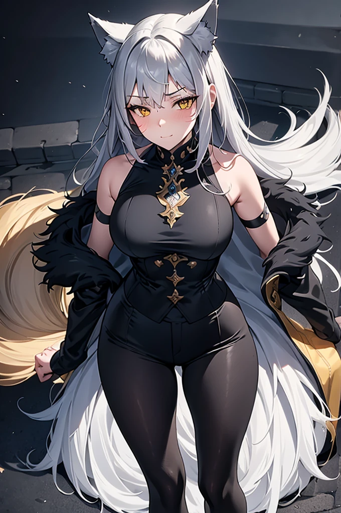 Masterpiece, full body portrait, no cropped, 4k, wallpaper, highlydetailed face, ultra-detailed face, solo (1woman), voluptuous, big breasts, curvy, long hair, gray hair, tall young woman, wolf woman, wolf ears, long wolf tail, beautiful, enchanting, bright yellow eyes, detailed eyes, ultra-detailed eyes, elegant, small vertical scar under right eye, small rosy lips, big breasts, slender elegant arms, pretty hands, detailed hands, charming, slight blush, smug smile, black stylish shorts and top outfit, detached sleeves, light black armor, black armored coat, bare off shoulders, toned abs, exposed belly, standing pose, hands on hip pose, full moon on the background