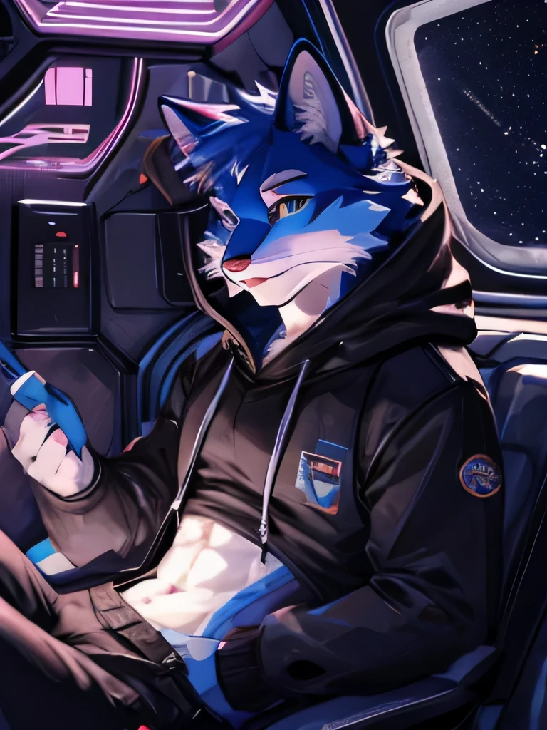 Furry, blue cat, long dark gray sweatshirt, dark brown shorts, blue eyes, white detail on the mouth, bulge, showing paws, outer space scene with stars and planets.