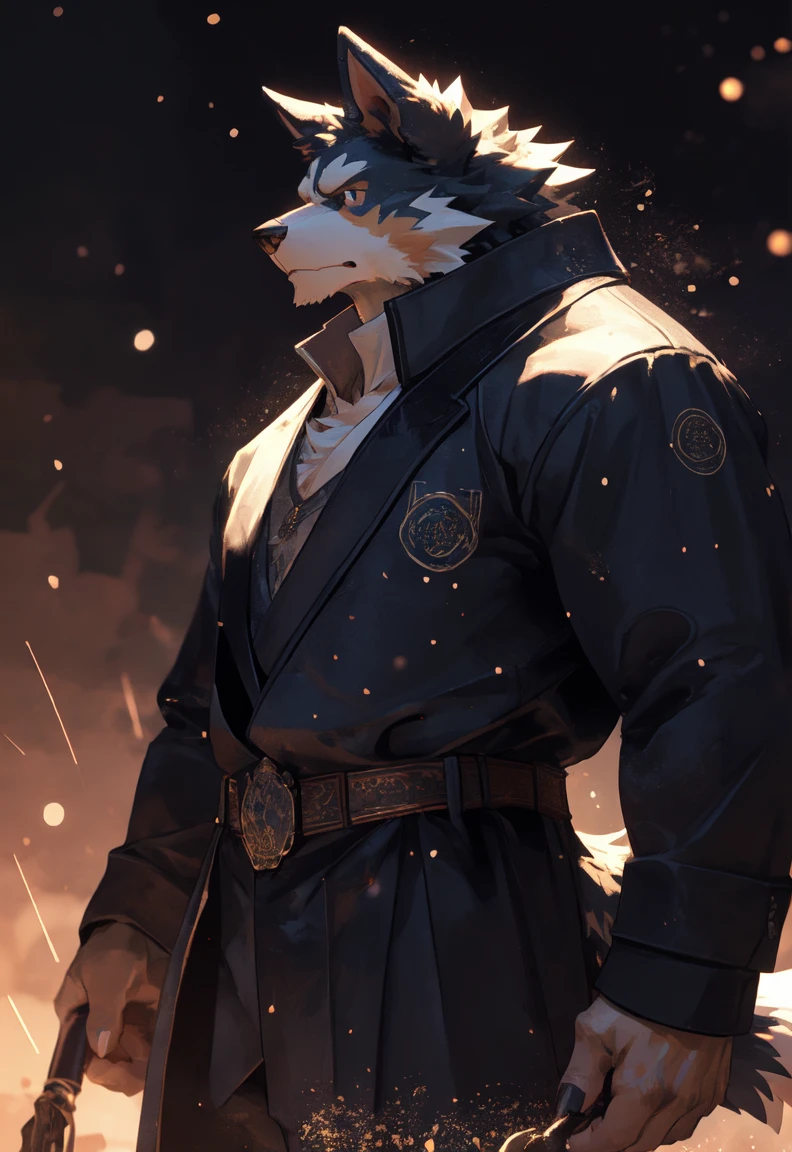 solo, kemono, (corder collie dog), anthro, male, scales, tail, muscles, handsome, epic, depth of field, perfect lighting, (light particles),(best quality),(masterpiece),(ultra detailed),sharp focus,light particles