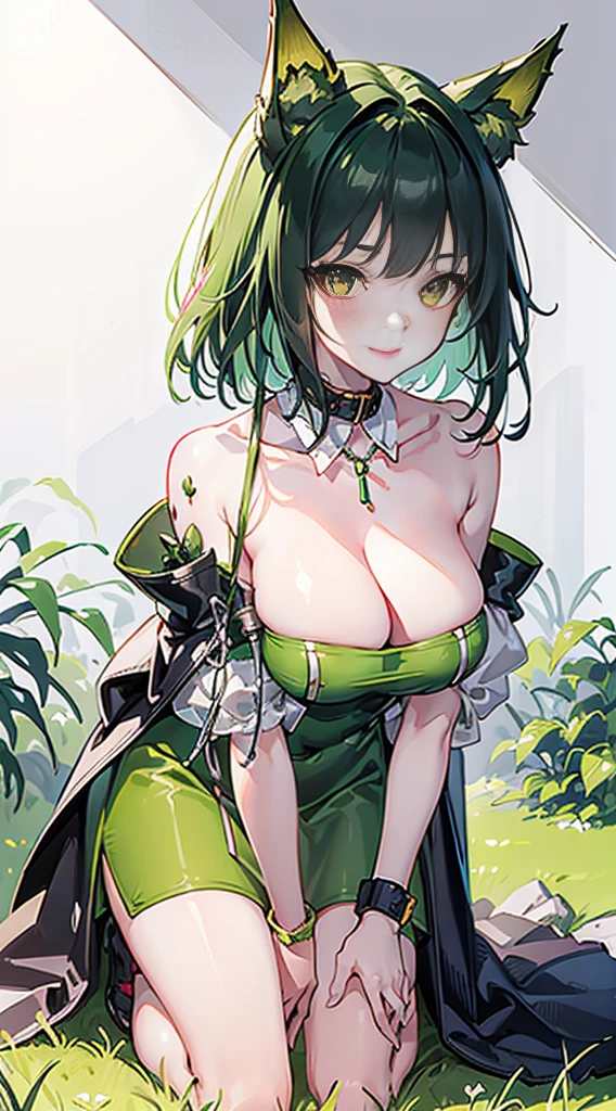 high quality, masterpiece, super detailed, 1 girl,  extremely detailed faces, green clothes，handcuffs，collar，Calm expression,bright red lips,Smile，handcuffs，collar，long black hair, charming pink eyes, fox ears, Ridiculously big, shiny skin, Kneeling on the ground，slate，plant，Grass