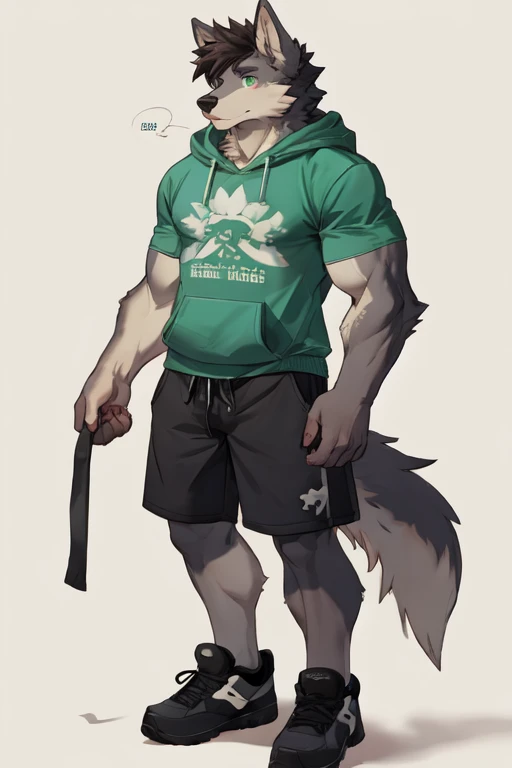 Furry, anthropomorphic wolf, Russet brown fur, dark brown hair, dark green eyes, 6'1 and 173 lbs, 41" Chest, 19" Shoulders, 13" Biceps, 32" waist, 23" Thighs, 15" Calves, 19" Back, twink, lime green hoody, gray-green T-shirt, gray-ish green sweat shorts, wearing dark slate gray slip on shoes