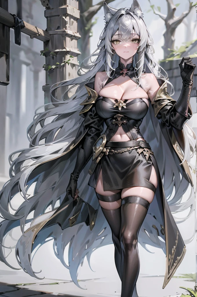 Masterpiece, only one girl, full body portrait, no cropped, 4k, wallpaper, highlydetailed face, ultra-detailed face, solo (1woman), voluptuous, big breasts, curvy, long hair, gray-silver hair, tall young woman, wolf woman, wolf ears, long gray wolf tail, beautiful, enchanting, bright yellow eyes, detailed eyes, ultra-detailed eyes, elegant, small vertical scar under right eye, small rosy lips, big breasts, slender elegant arms, pretty hands, detailed hands, charming, slight blush, smug smile, black stylish shorts and top outfit, detached sleeves, light black armor, armored skirt, black armored coat, bare off shoulders, toned abs, exposed belly, standing pose, hands on hip pose, full moon on the background