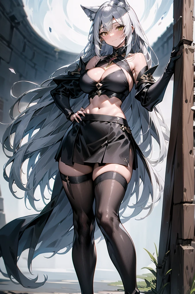 Masterpiece, only one girl, full body portrait, no cropped, 4k, wallpaper, highlydetailed face, ultra-detailed face, solo (1woman), voluptuous, big breasts, curvy, long hair, gray-silver hair, tall young woman, wolf woman, wolf ears, long gray wolf tail, beautiful, enchanting, bright yellow eyes, detailed eyes, ultra-detailed eyes, elegant, small vertical scar under right eye, small rosy lips, big breasts, slender elegant arms, pretty hands, detailed hands, charming, slight blush, smug smile, black stylish shorts and top outfit, detached sleeves, light black armor, armored skirt, black armored coat, bare off shoulders, toned abs, exposed belly, standing pose, hands on hip pose, full moon on the background