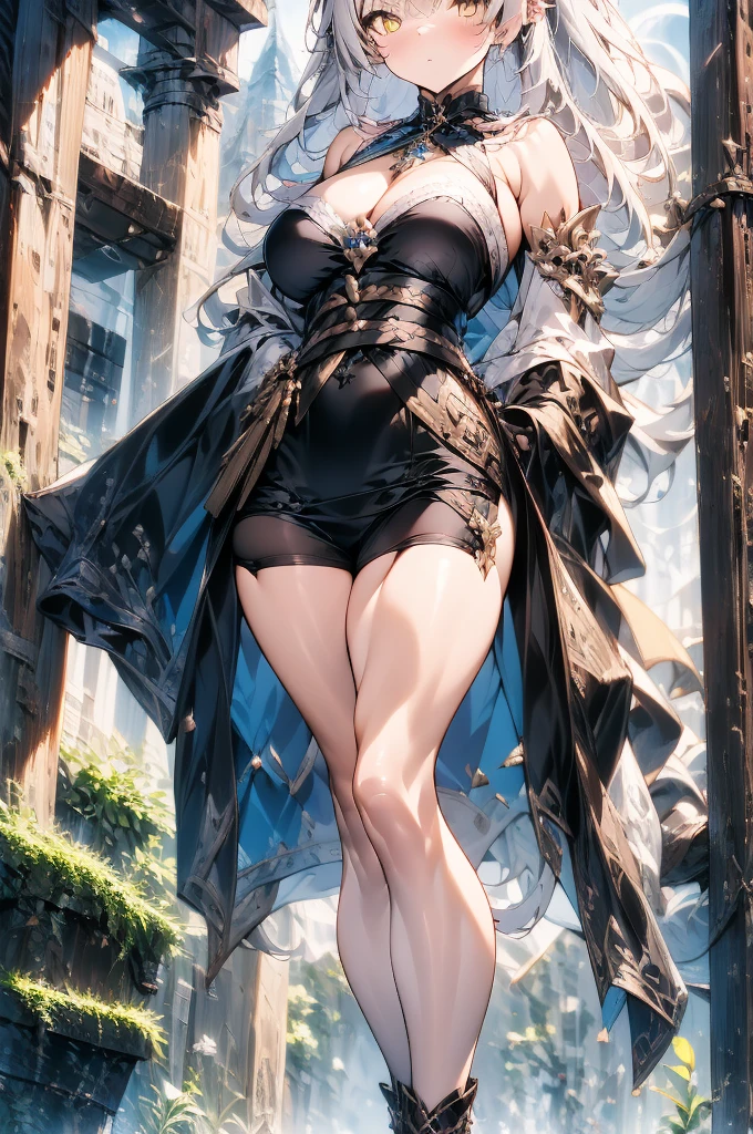 Full body portrait, masterpiece, no cropped, 4k, wallpaper, highlydetailed face, ultra-detailed face, solo (1woman), voluptuous, big breasts, curvy, long hair, gray-silver hair, tall young woman, wolf woman, wolf ears, long gray wolf tail, beautiful, enchanting, bright yellow eyes, detailed eyes, ultra-detailed eyes, elegant, small vertical scar under right eye, small rosy lips, big breasts, slender elegant arms, pretty hands, detailed hands, charming, slight blush, smug smile, black stylish shorts and top outfit, detached sleeves, light black armor, armored skirt, black armored coat, bare off shoulders, toned abs, exposed belly, standing pose, hands on hip pose, full moon on the background