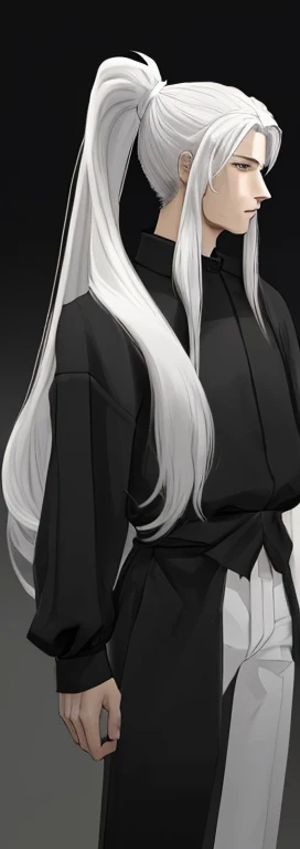male,long hair,ponytail,Natural volume,
