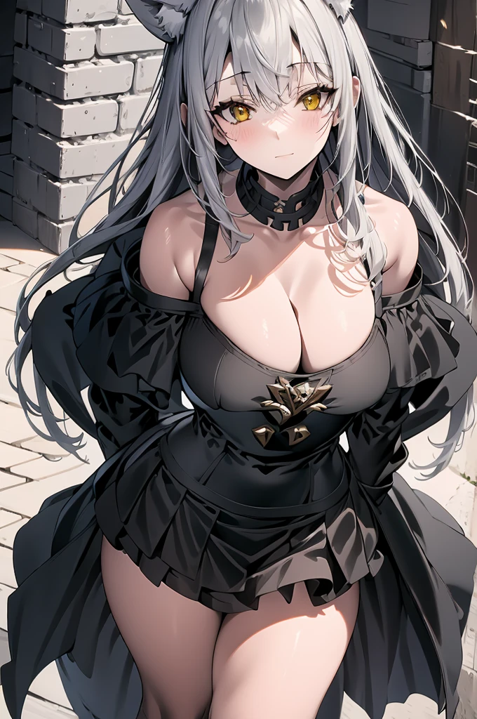 Full body portrait, masterpiece, 4k, wallpaper, highlydetailed face, ultra-detailed face, solo (1woman), voluptuous, big breasts, curvy, long hair, gray-silver hair, young woman, wolf woman, wolf ears, long wolf tail, beautiful, enchanting, bright yellow eyes, detailed eyes, ultra-detailed eyes, elegant, small vertical scar under right eye, small rosy lips, big breasts, slender elegant arms, pretty hands, detailed hands, charming, slight blush, smug smile, black stylish shorts and top outfit, detached sleeves, light black armor, armored skirt, black armored coat, bare off shoulders, toned abs, exposed belly, standing pose, hands on hips pose, full moon on the background