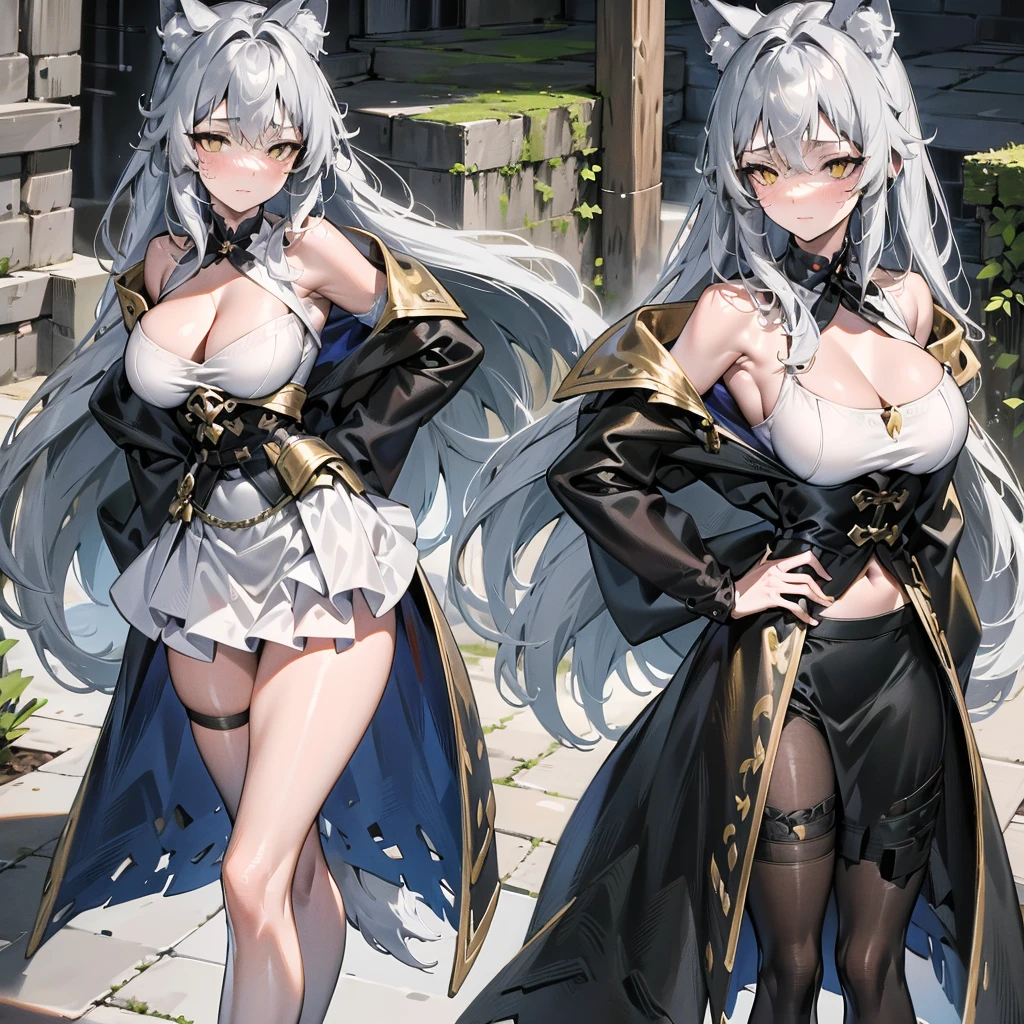 Full body portrait, only one girl, looking at viewer, masterpiece, 4k, wallpaper, highlydetailed face, ultra-detailed face, solo (1woman), voluptuous, big breasts, curvy, long hair, gray-silver hair, young woman, wolf woman, wolf ears, long wolf tail, beautiful, enchanting, bright yellow eyes, detailed eyes, ultra-detailed eyes, elegant, small vertical scar under right eye, small rosy lips, big breasts, slender elegant arms, pretty hands, detailed hands, charming, slight blush, smug smile, black stylish shorts and top outfit, detached sleeves, light black armor, armored skirt, black armored coat, bare off shoulders, toned abs, exposed belly, standing pose, hands on hips pose, full moon on the background