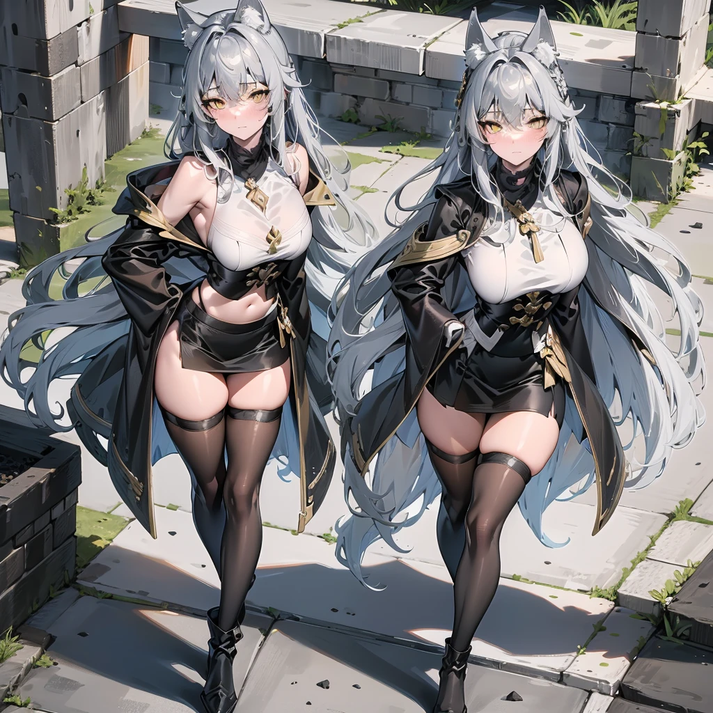 Only one girl, full body portrait, masterpiece, 4k, wallpaper, highlydetailed face, ultra-detailed face, solo (1woman), voluptuous, big breasts, curvy, long hair, gray-silver hair, young woman, wolf woman, wolf ears, long wolf tail, beautiful, enchanting, bright yellow eyes, detailed eyes, ultra-detailed eyes, elegant, small vertical scar under right eye, small rosy lips, big breasts, slender elegant arms, pretty hands, detailed hands, charming, slight blush, smug smile, black stylish shorts and top outfit, detached sleeves, light black armor, armored skirt, black armored coat, bare off shoulders, toned abs, exposed belly, standing pose, hands on hips pose, full moon on the background