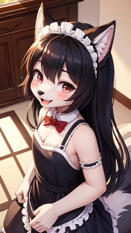 (fluffy anthro furry: 1.6),(young: 1.6),wolf girl,mini girl,blue long hair,light grey fur,wolf tail,beautiful dining room,clear window,maid headdress,maid outfit,black maid glove,maid stocking,red bowtie,seductive face,smile,open mouth,looking at viewer,blush,cleaning window,high angle