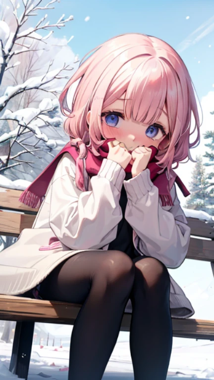、Peep、A sneak peak、Shyness、blush、embarrassing、blush、peak、、sit with legs stretched out、bench、顔をscarfで隠す、put on a coat、snow原、snow像、snow、cold、scarf、scarfを巻く、降snow高解像度、Full HD、8K quality、、、droopy eyes、、、highlight on eyes、lively eyes、clear eyes、Beautiful eyes、、口元をscarfで覆う、、look down、look away、embarrassed、blush、、View from an angle、Side and oblique view、、highlight on eyes、、、highlight on eyes、Insanely beautiful eyes、Black tights with pink lines