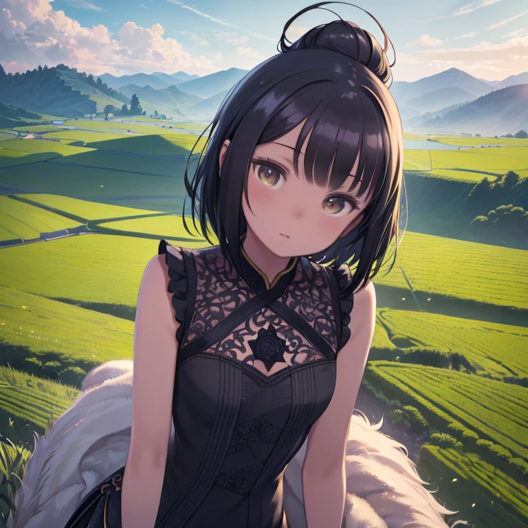 (reality: 1.3), Are you okay, quality, rembrandt lighting, (masterpiece: 1.2), (reality: 1.2), (Best quality), (skin details: 1.3), (intricate details), dramatic, idyllic, ray tracing, 1 girl, chinese yellow girl, long black hair, 24-years-old, Modern attire (grassland, sun, cloud, fields, farm, Starlight, trail)