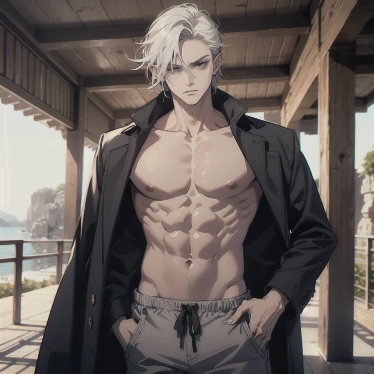 Elfo alto e definido, cabelos prateados e olhos roxos, shirtless and loose pants with a serious face