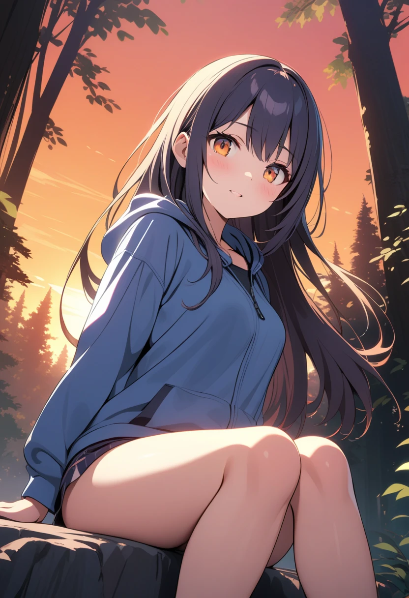 顶级animation质量，animation，HD，1080P，solo，(low angle)，a woman，extremely detailed hair and eyes，long hair with swept bang，Wearing only travel clothes，detailed cloth texture，sit on stone，(many wolf near)，Inside forest background，sexy feeling，(warm feeling)，orange sky，Ray tracing，(dawn)