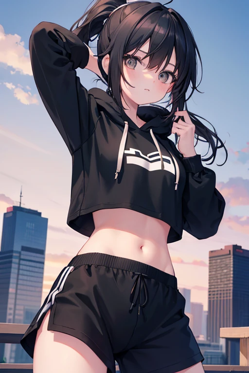 very good image, a cute beautiful anime tomboy girl, long black hair, ponytail, black crop top hoodie, black training pants, city(hd view), high quality, high details