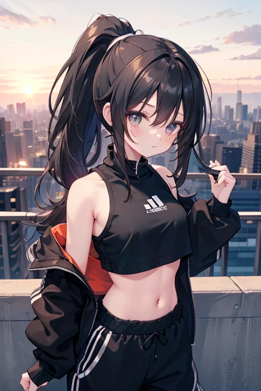 very good image, a cute beautiful anime tomboy girl, long black hair, ponytail, black crop top hoodie, black training pants, city(hd view), high quality, high details