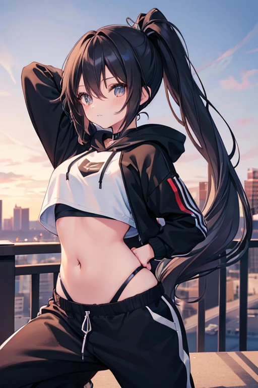 very good image, a cute beautiful anime tomboy girl, long black hair, ponytail, black crop top hoodie, black training pants, city(hd view), high quality, high details