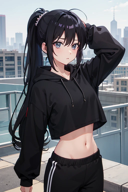 very good image, a cute beautiful anime tomboy girl, long black hair, ponytail, black crop top hoodie, black training pants, city(hd view), high quality, high details