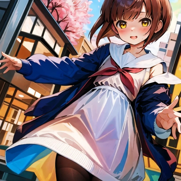 (masterpiece, best quality:1.2), solo, cute 1girl, brown short hair, yellow eyes, BREAK, (blue long cardigan), BREAK, (white sailor collar), BREAK, (brown Tank dress), black tights,