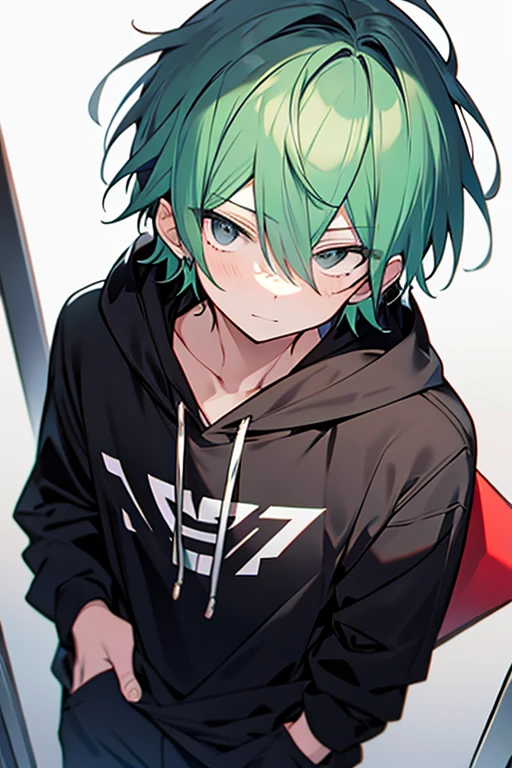 Anime boy with green hair and black eyes, 2d anime style, 2d anime, 2D art, 2 d art, 2 d digital, 2 d style, anime moe art style, Anime boy,cute,hoodie