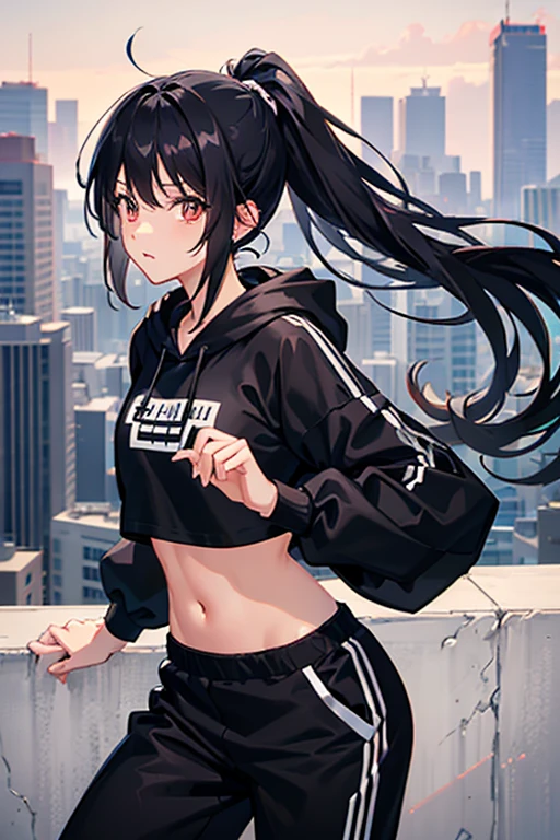 very good image, a cute beautiful anime tomboy girl, long black hair, hu tao , ponytail, white crop top hoodie, black training pants, city(hd view), high quality, high details