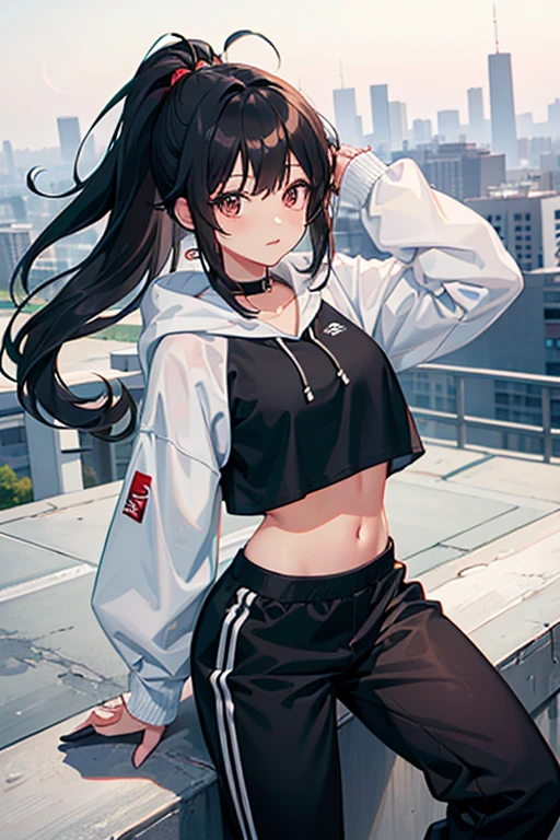 very good image, a cute beautiful anime tomboy girl, long black hair, hu tao , ponytail, white crop top hoodie, black training pants, city(hd view), high quality, high details