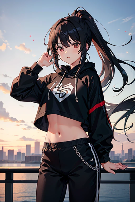 very good image, a cute beautiful anime tomboy girl, long black hair, hu tao , ponytail, white crop top hoodie, black training pants, city(hd view), high quality, high details