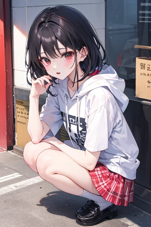 squat down、gingham check skirt、
Short sleeve hoodie、cute、Snazzy、red makeup、black haired、3✕3の目、