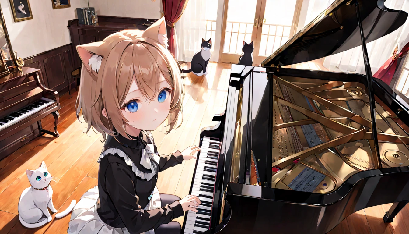 (1girl)、music room、Girl playing classical piano、、Cat ear、Clear eyes、Depicted from a top-down perspective