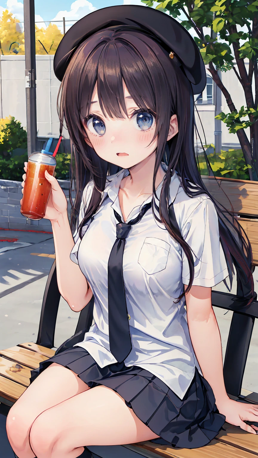 (masterpiece, best_quality), extremely_detailed_CG, woman posing for a photo, shy smile, Happy, long hair, straight hair, fine skin, beautiful hands, beautiful fingers, Wearing a beret, tie, short sleeve blouse, pleated skirt, thighs, Absolute area, knee socks, during the day, hot summer day, School, schoolyard, sitting on the bench, Canned juiceを持っている, Natural light, detailed face:1.2, sharp focus, Hasselblad Photos, masterpiece, light makeup, cinematic lighting, 4k, highest quality, sharpness, anime style, whole body, Canned juice, 