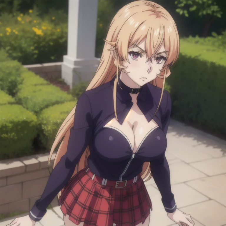 ((masterpiece, best quality, high resolution, UHD, pixel perfect, depth of field, 8k, RTX, HDR))cowboy shot, BREAK, 1girl, single, alone, beautiful anime girl, beautiful art style, anime character, ((style of Akame Ga Kill!)),((long hair, blonde hair)), (purple:1.4, round eyes, beautiful eyelashes, realistic eyes), big teats 1.5, with cleavage, nipples visible under clothing, neckline, blushing, wearsa red plaid pleated miniskirt, transparent long-sleeved shirt, bra visible through the shirt, black bra, red jumpsuit on the shirt collar, wearing a black choker, in a garden with a sun day.