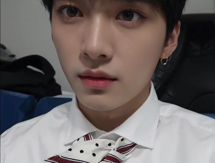Minho de Stray Kids.